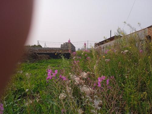 За какое время можно построить дом?