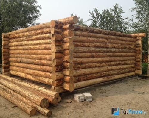 Баня из рубленого бревна. Возведение стен бани из рубленного бревна 01