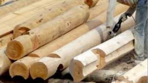 Баня из оцилиндрованного бревна своими руками. Как правильно выбрать материал для строительства