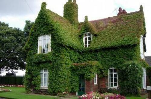 Материалы для строительства дома. Современные материалы для строительства дома: плюсы и минусы 18