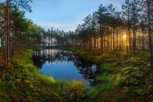 Западные районы Ленинградской области. Ленинградская область: вся полезная информация в одной статье
