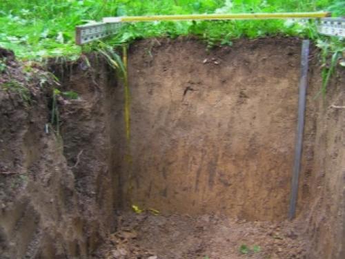 Грунты Ленинградской области. Особенности