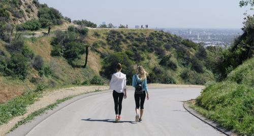 Как выстроить дружеские отношения. Как построить дружбу во взрослом возрасте 04 Как выстроить дружеские отношения. Как построить дружбу во взрослом возрасте 04