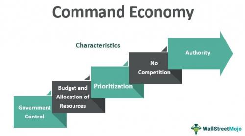 Командная экономика. Что такое командная экономика?