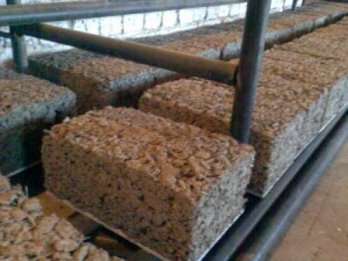 Арболитовые блоки недостатки