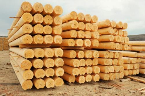 Материалы для строительства бани. Основные породы деревьев, используемые для строительства