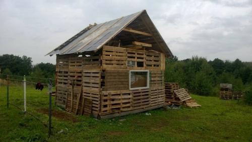 Дачный домик за 50 тысяч рублей