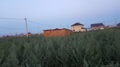 Как я строил свой первый дом. Как я строил свой дом (часть 1 Вводная [первая или единственная??])